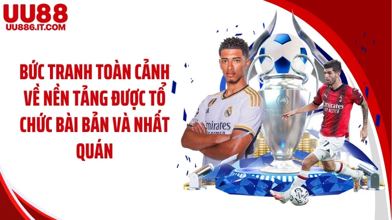 Bức tranh toàn cảnh về nền tảng được tổ chức bài bản và nhất quán