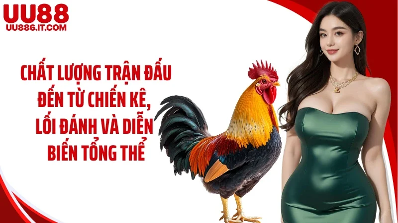 Chất lượng trận đấu đến từ chiến kê, lối đánh và diễn biến tổng thể