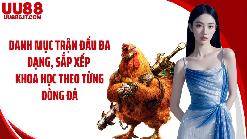 Danh mục trận đấu đa dạng, sắp xếp khoa học theo từng dòng đá