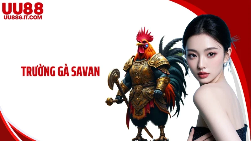Trường Gà Savan - Điểm Dừng Chân Thỏa Mãn Đam Mê Kê Thủ